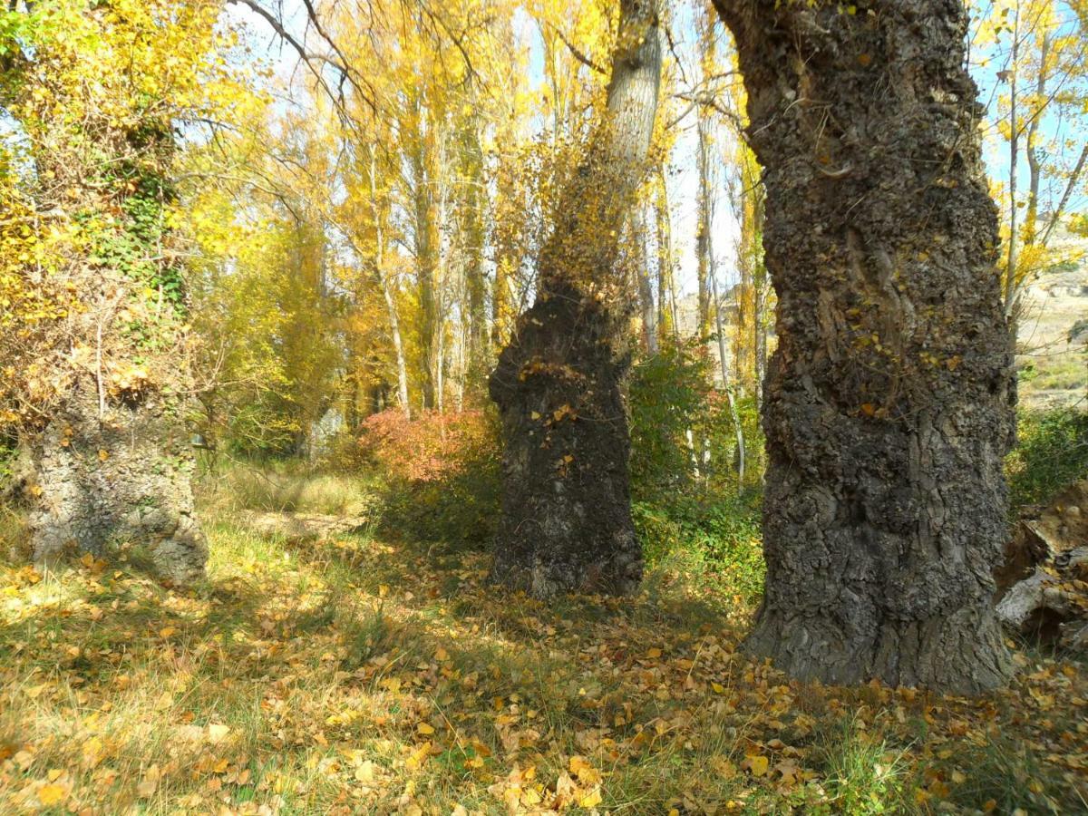 La Posada Del Arba El Frago Exteriör bild