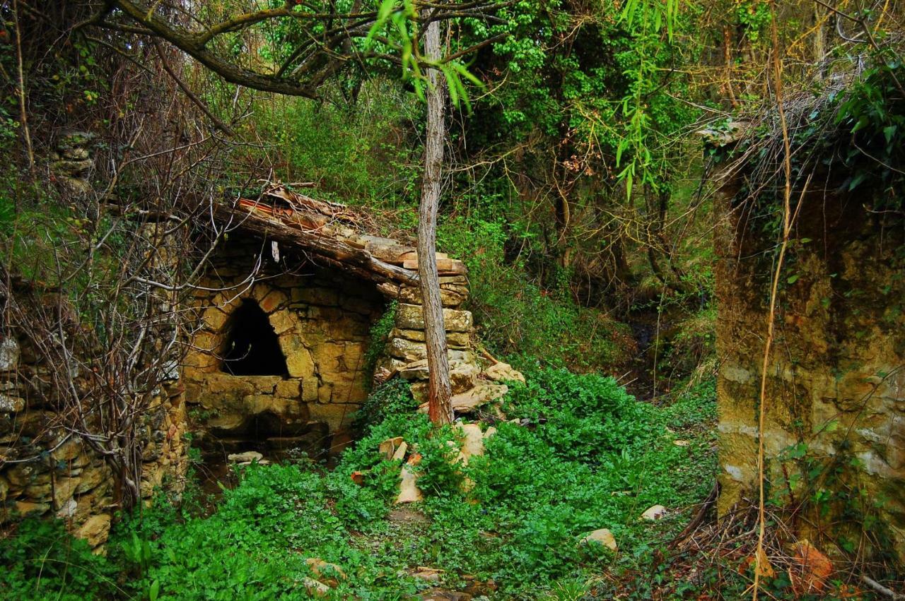 La Posada Del Arba El Frago Exteriör bild