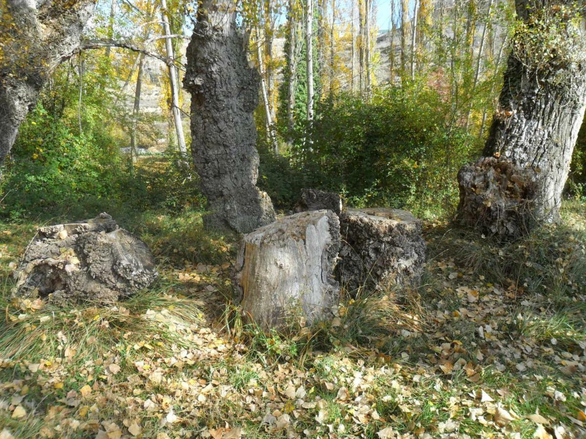 La Posada Del Arba El Frago Exteriör bild