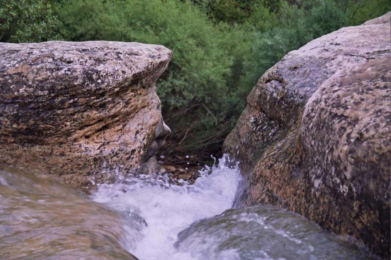 La Posada Del Arba El Frago Exteriör bild